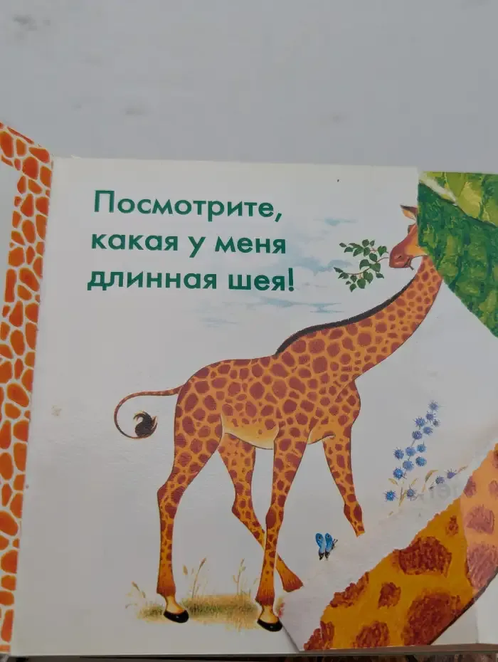 Угадай кто... в зоопарке