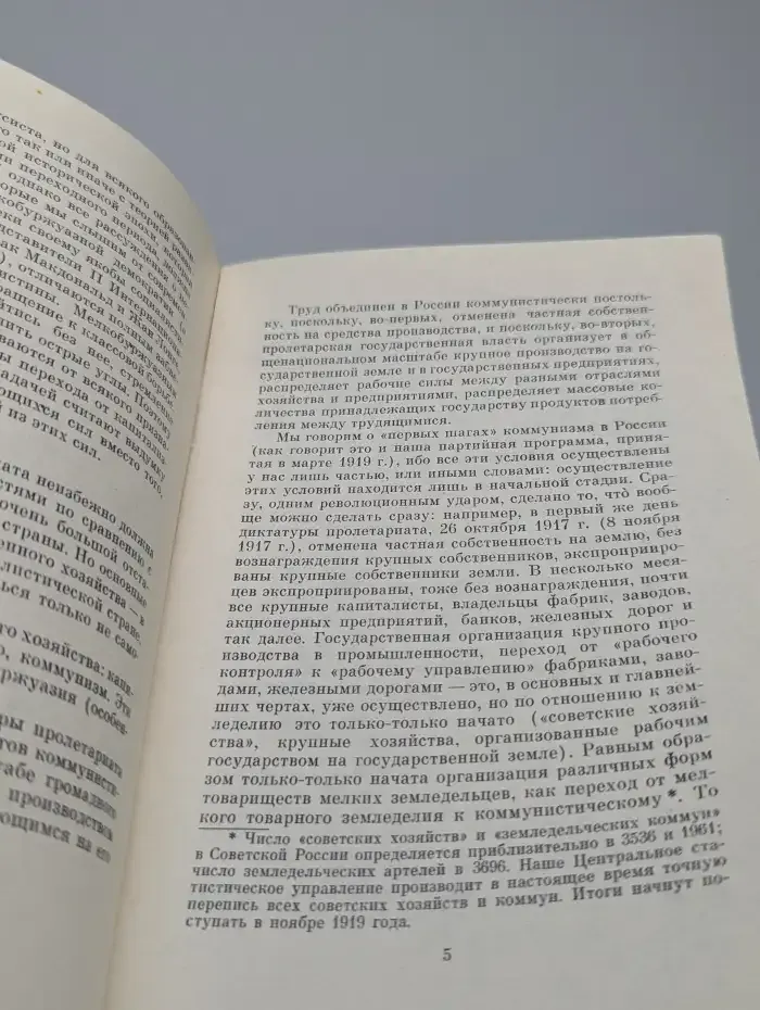 Экономика и политика в эпоху диктатуры пролетариата