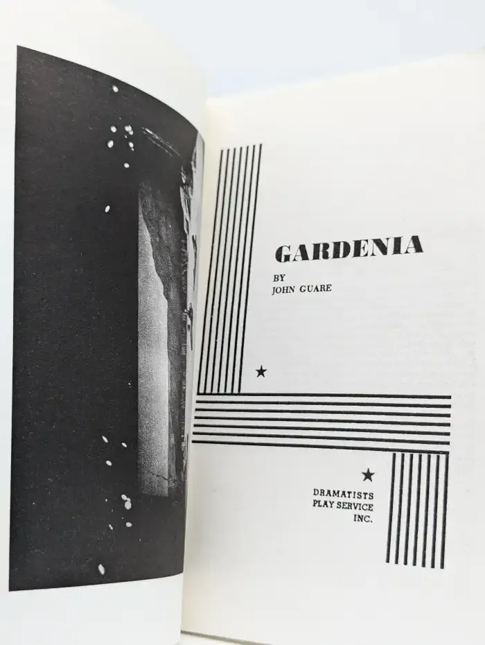 Gardenia. Гардения