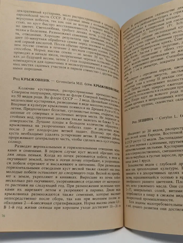 Деревья и кустарники для любительского садоводства