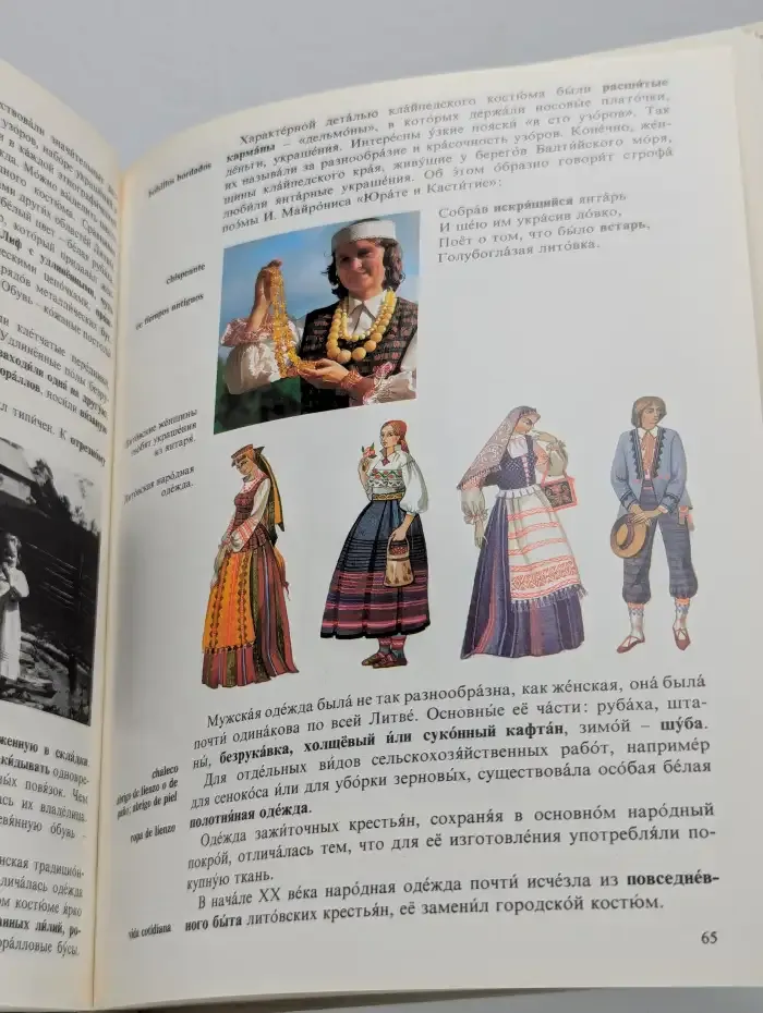 У Янтарного моря
