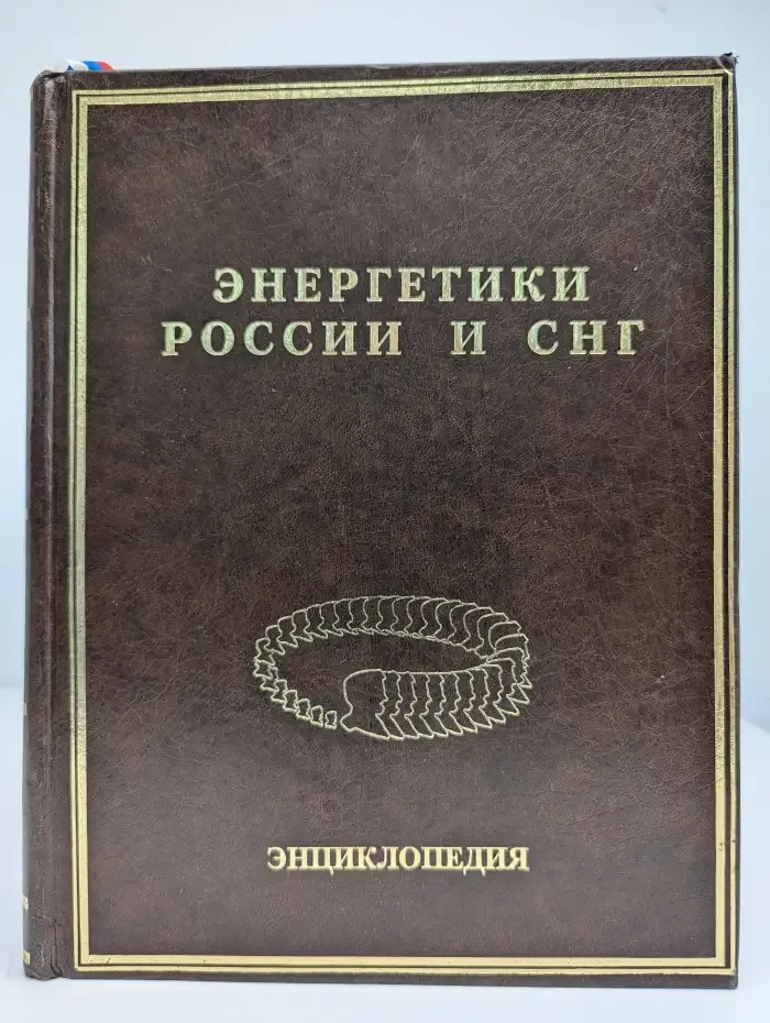 Энергетики России и СНГ