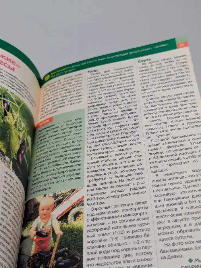 Моя прекрасная дача. Номер 5. 2012