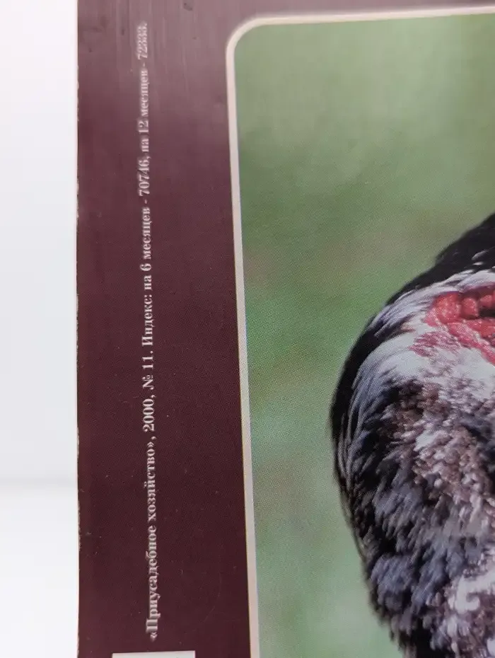 Журнал "Приусадебное хозяйство". № 11, 2000