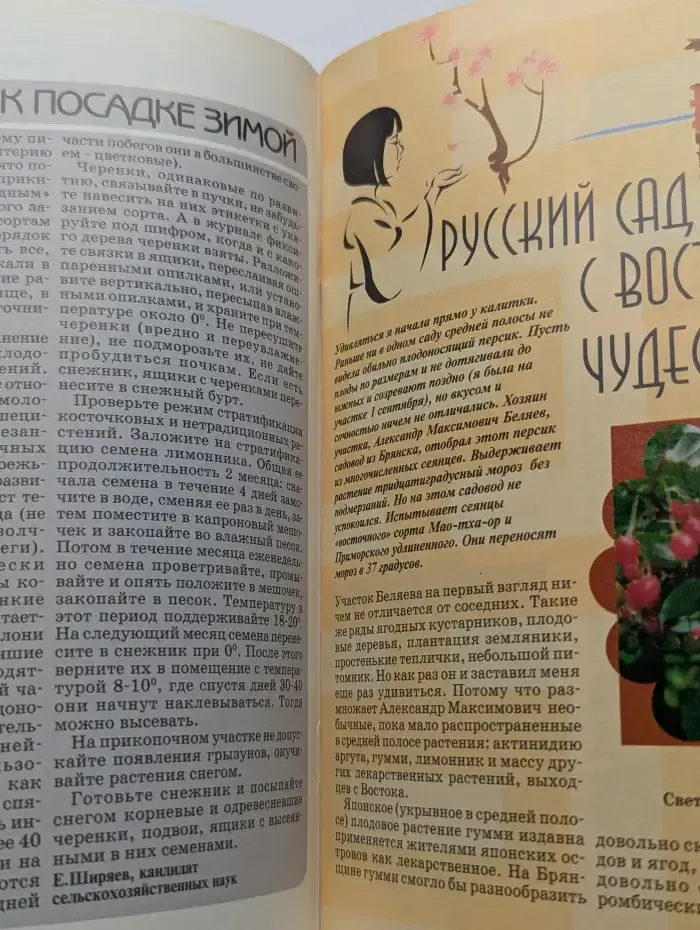 Журнал "Приусадебное хозяйство". № 11, 2000