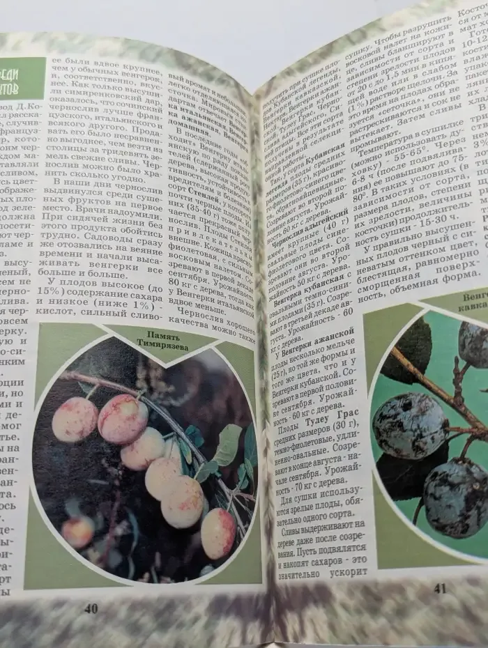 Журнал "Приусадебное хозяйство". № 9, 2000