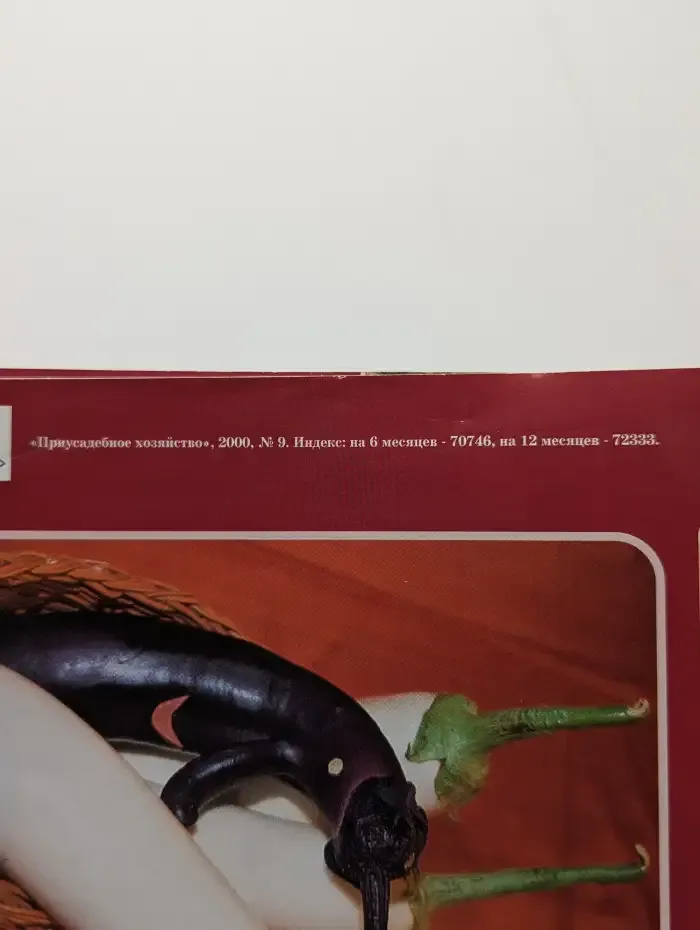 Журнал "Приусадебное хозяйство". № 9, 2000