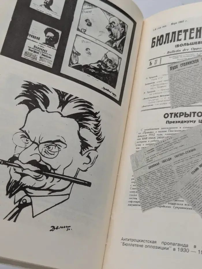 Троцкий. Политический портрет. В 2 книгах. Книга 2