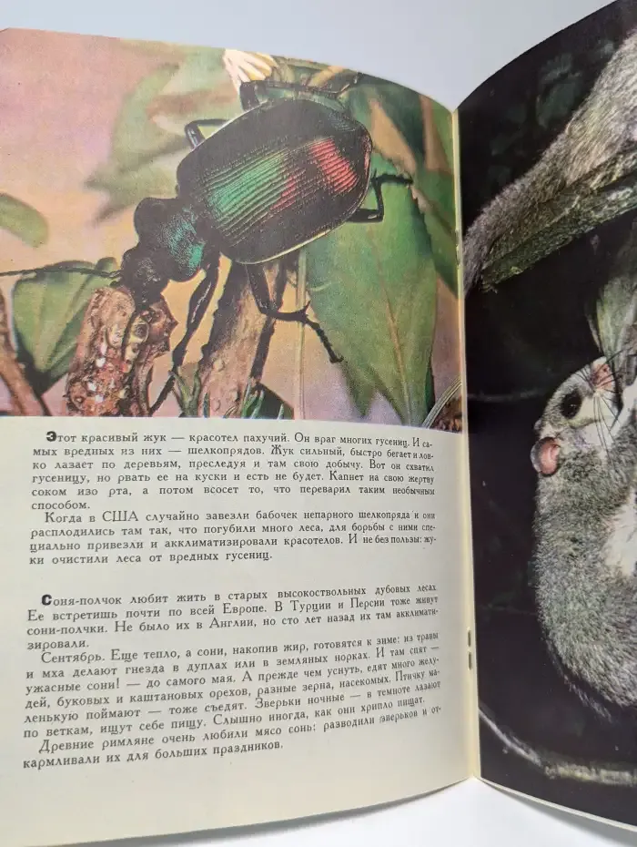 Юный натуралист. Выпуск № 5/1970