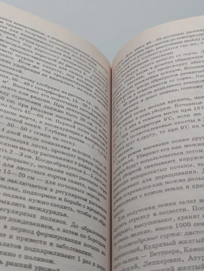 Все об огороде