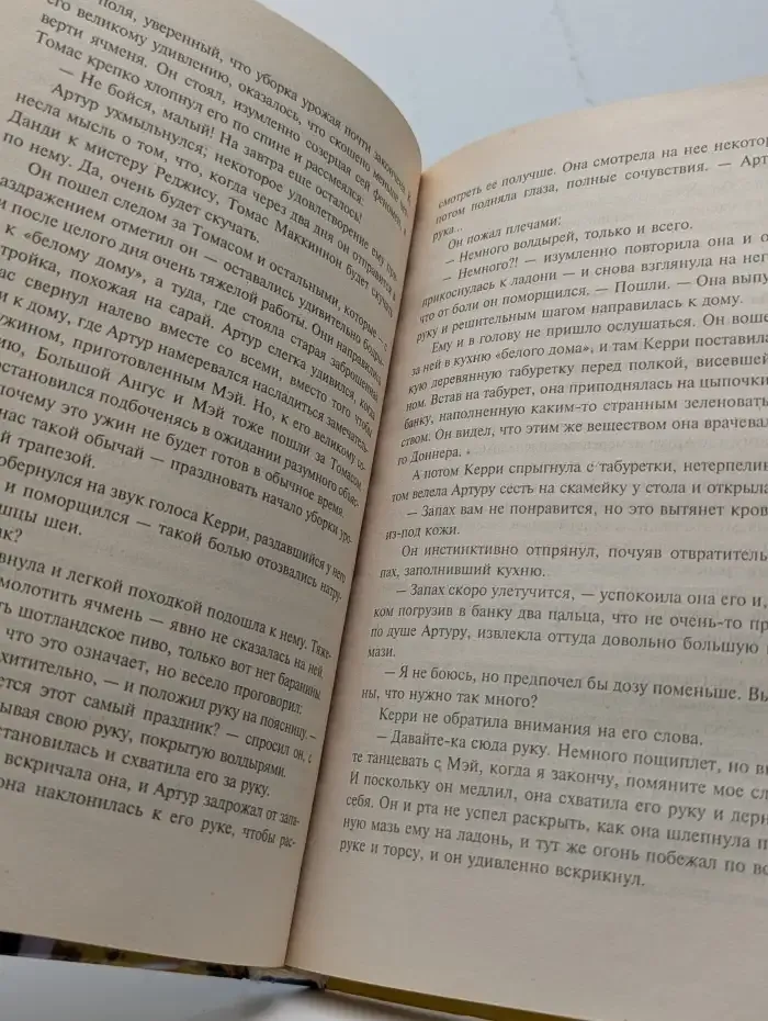 Прекрасный незнакомец