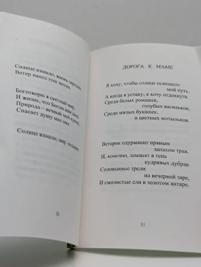 Боготворю я этот мир...