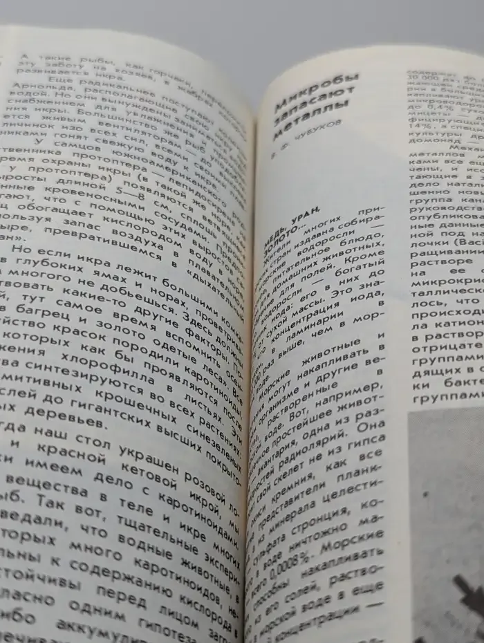 Химия и жизнь, №11, 1982