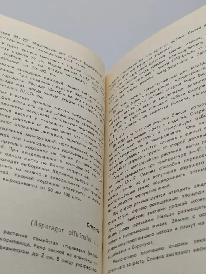 Малораспространенные овощные культуры