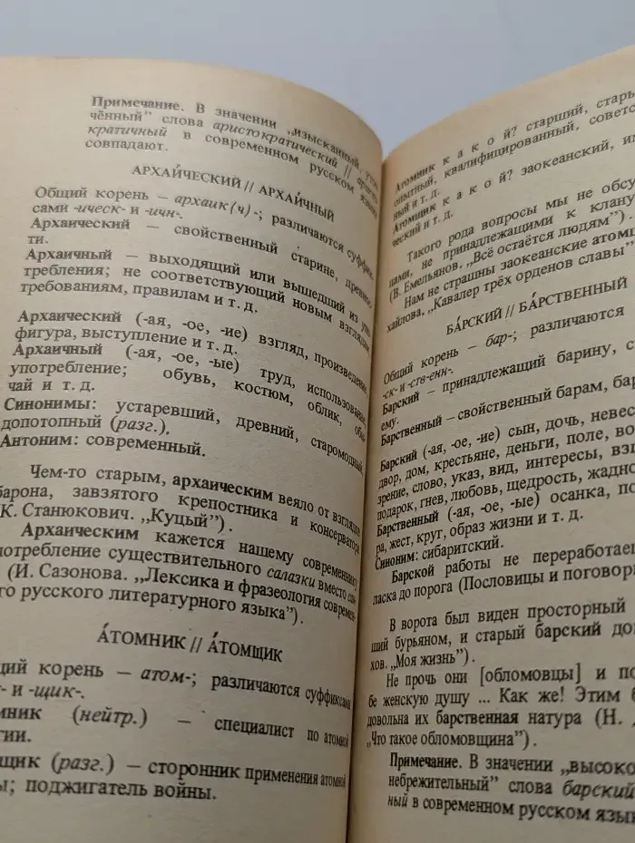 Паронимы современного русского языка