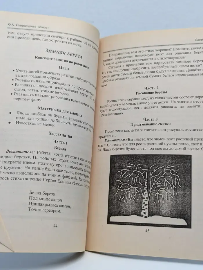 Занятия с детьми старшего дошкольного возраста