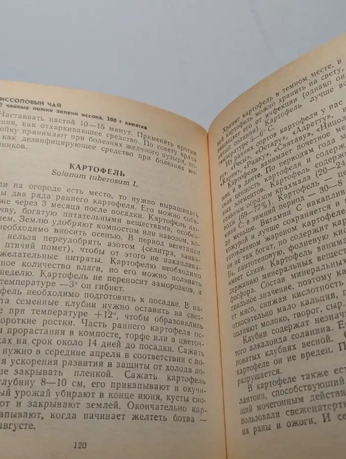 Из леса и огорода - от весны до зимы