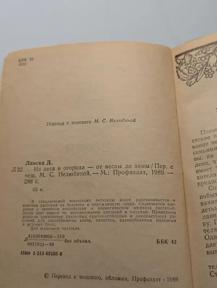Из леса и огорода - от весны до зимы