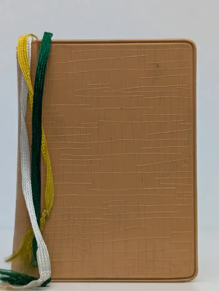 Разговорник и карманный словарь наиболее употребительных