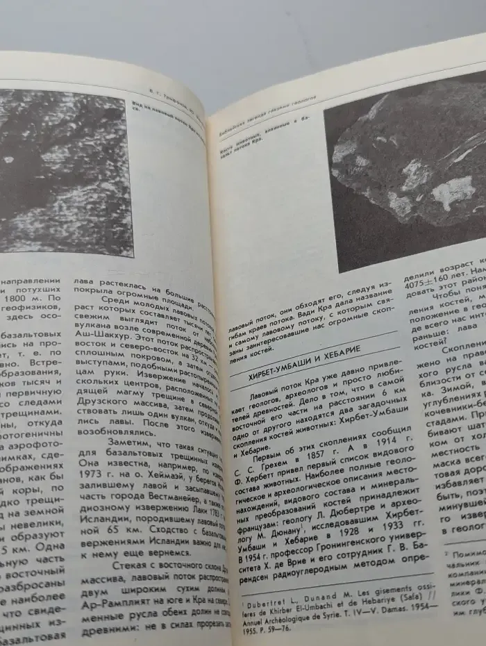 Природа №8, 1988