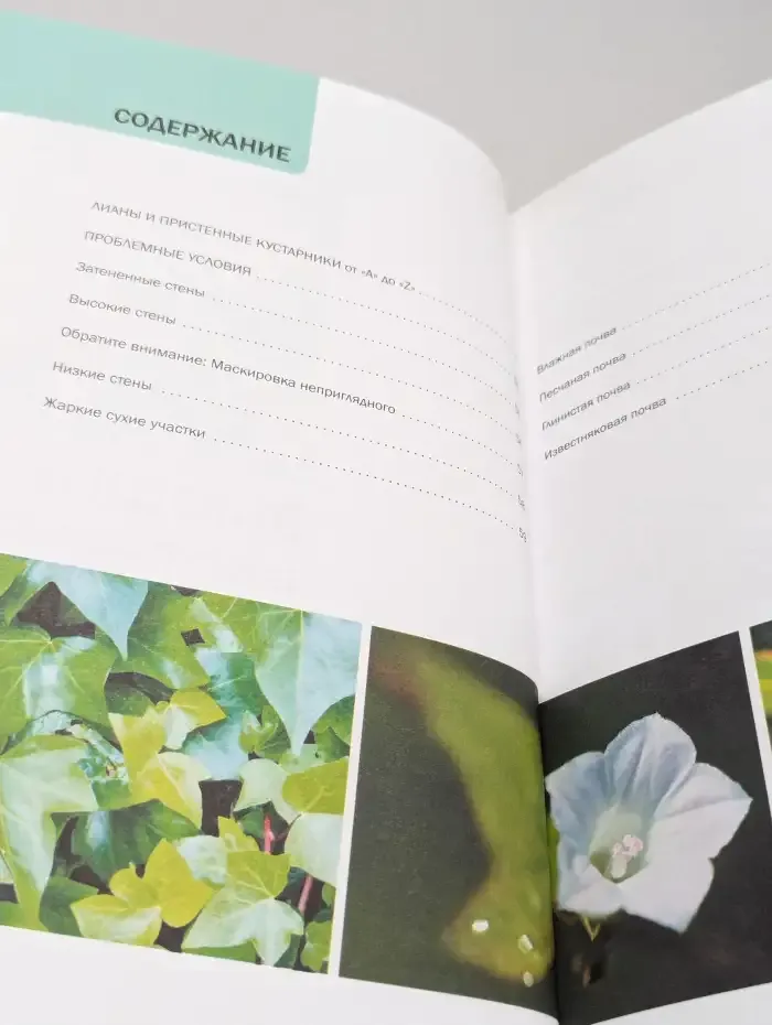 Вьющиеся растения. Иллюстрированный справочник