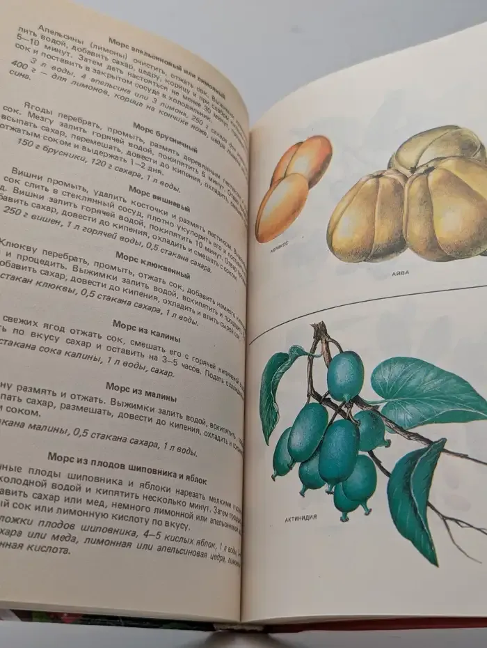 Плоды и ягоды. Заготовка, хранение, консервирование