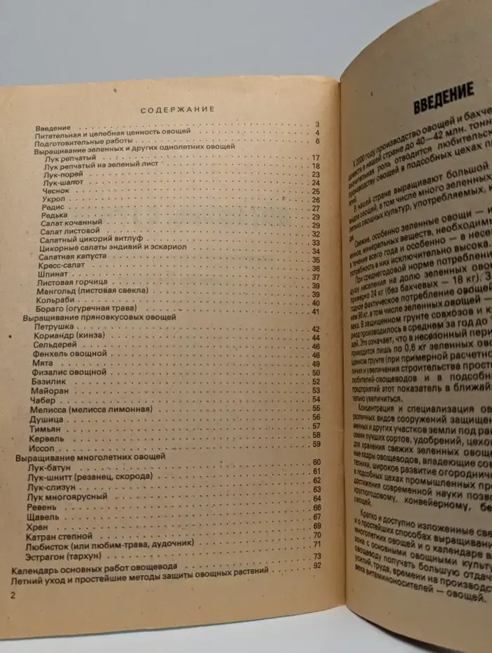 Витамины с грядки