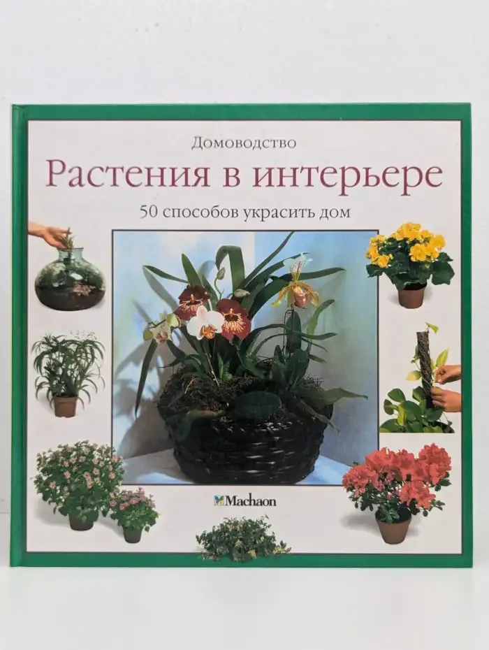 Растения в интерьере. 50 способов украсить дом