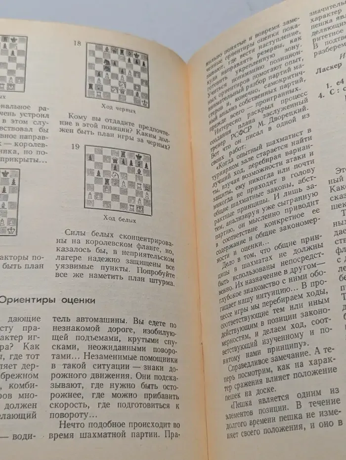 План в шахматной партии