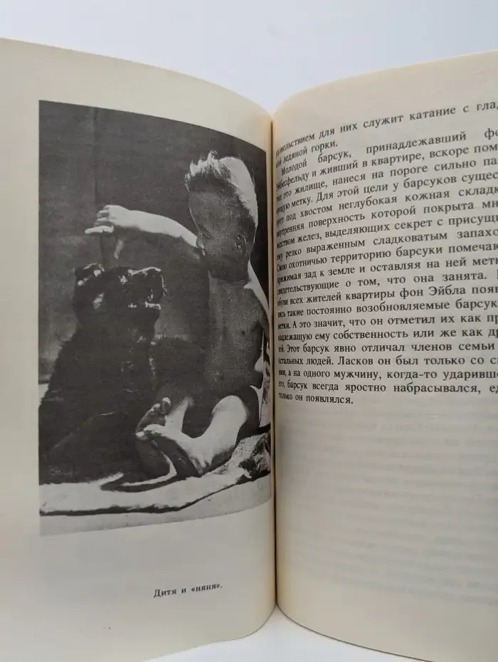 Животные рядом с нами