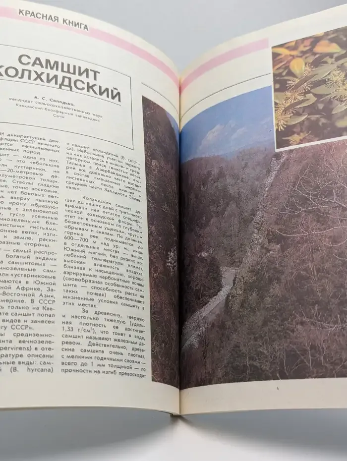 Природа №2, 1987