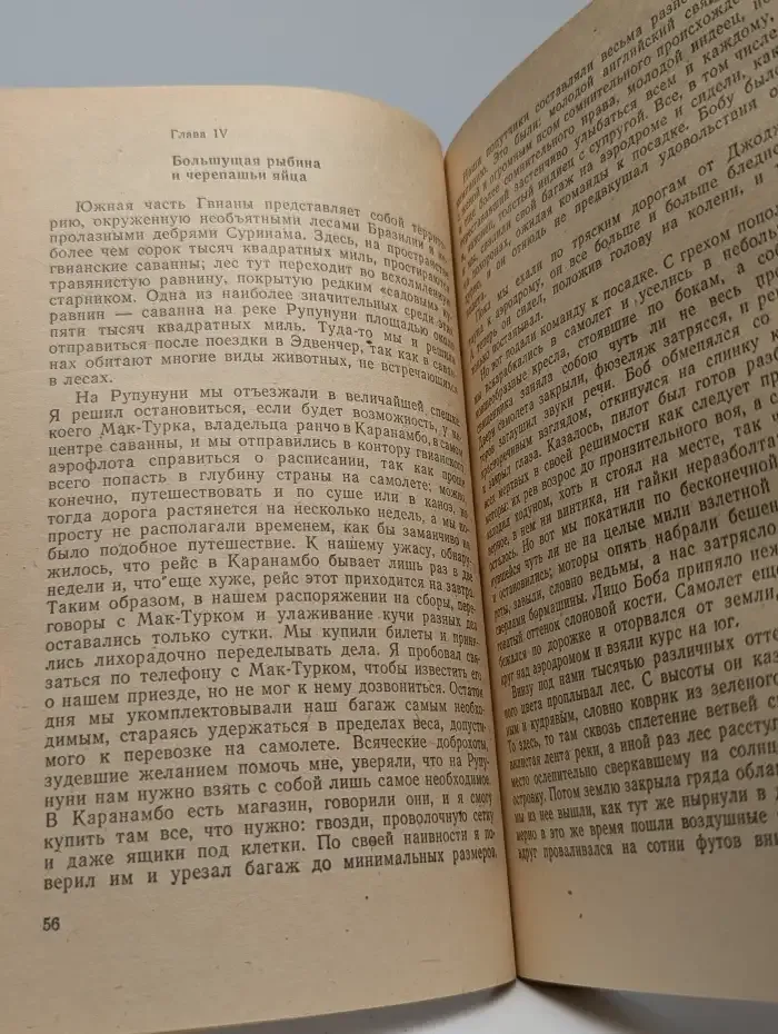 Три билета до Эдвенчер. Путь кенгуренка