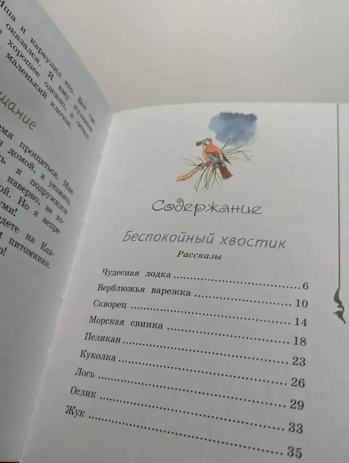 Хитрый бурундук