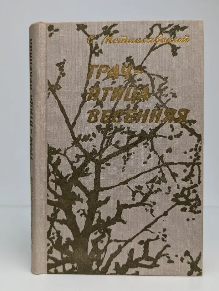 Грач-птица весенняя