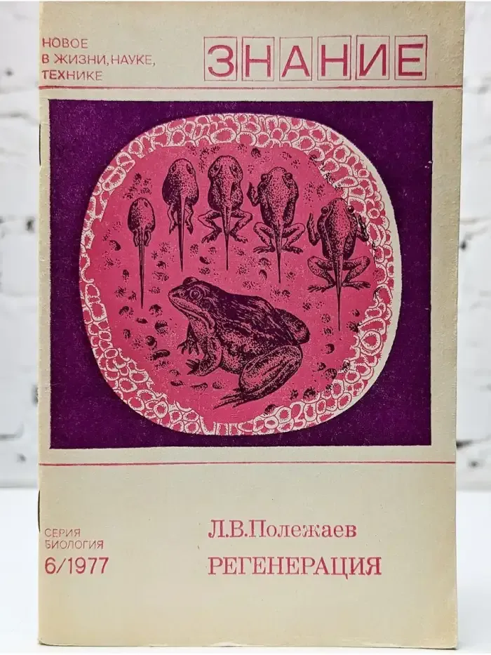 Регенерация