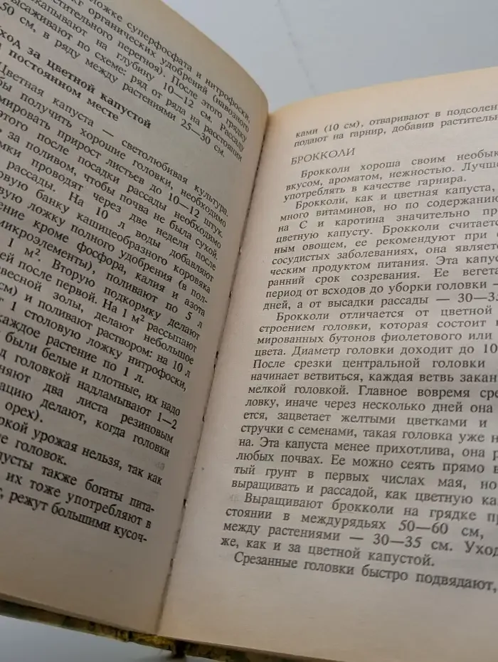 Огород - круглый год