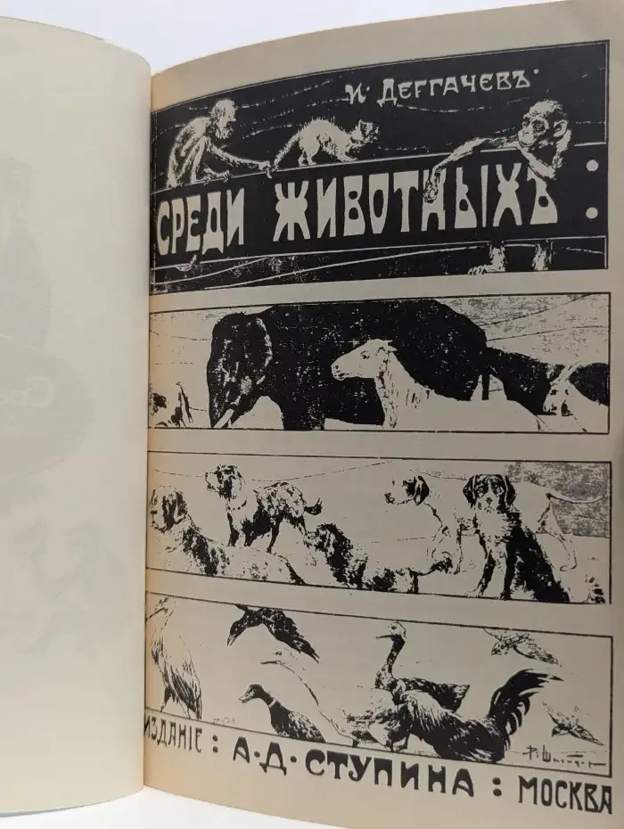 Среди животных