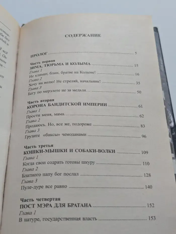 Мэр в законе
