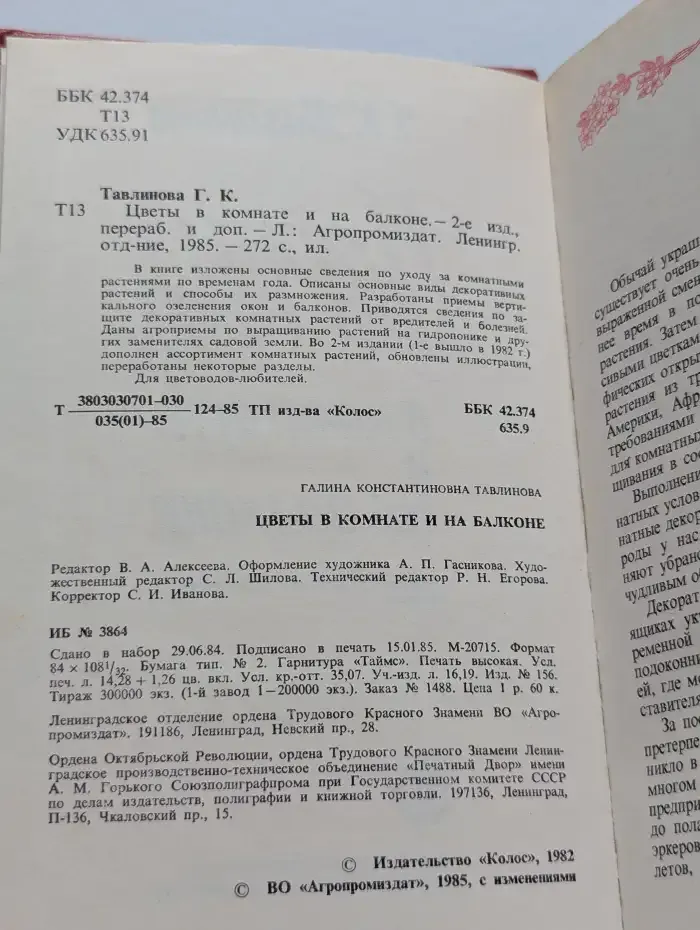 Цветы в комнате и на балконе