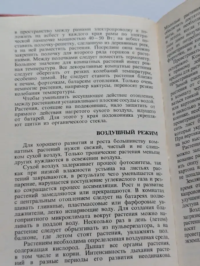 Цветы в комнате и на балконе