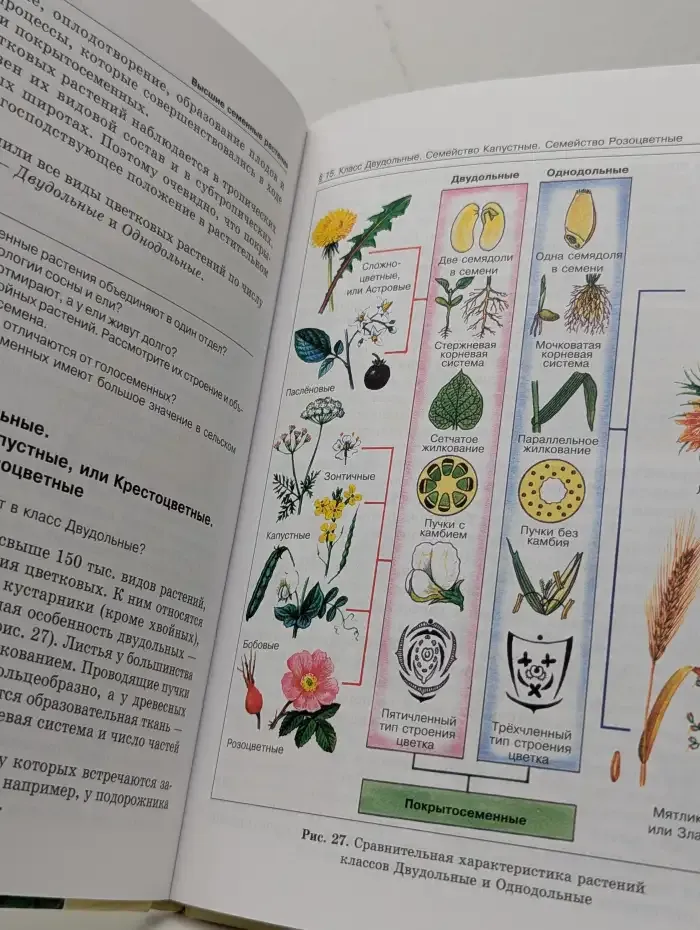 Биология. Растения. Бактерии. Грибы. Лишайники. 5-6 классы