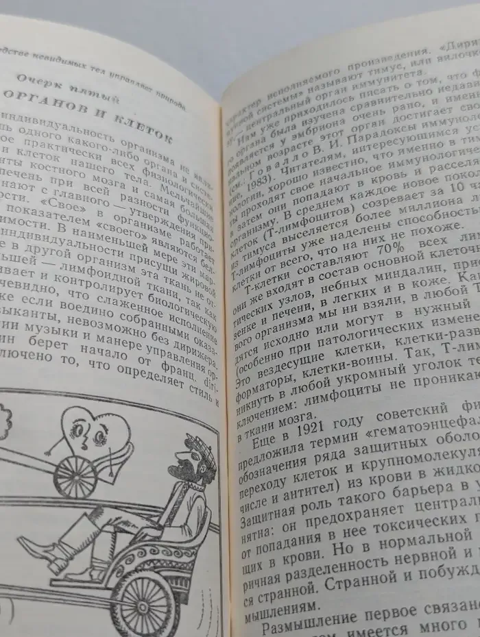 Почему мы не похожи друг на друга