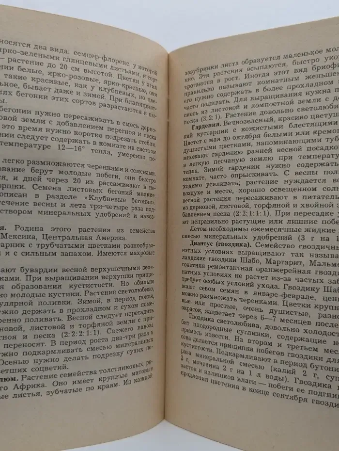 Цветы в квартире
