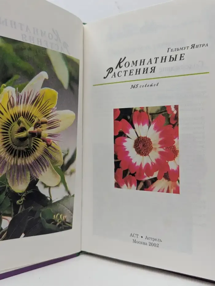 Комнатные растения. 365 советов