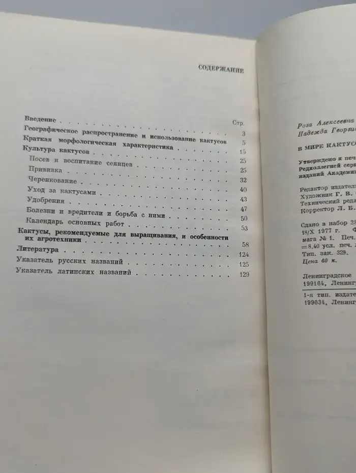 В мире кактусов