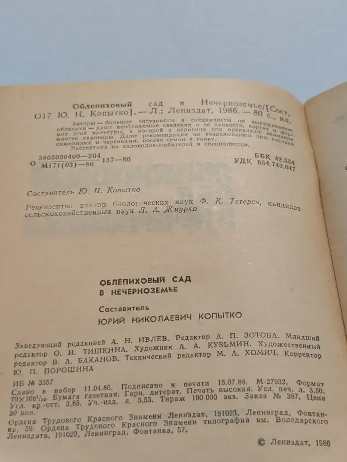 Облепиховый сад в Нечерноземье