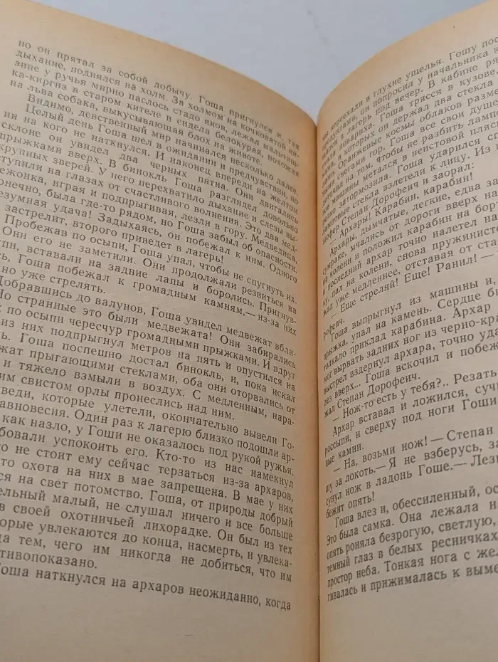 Красный лес