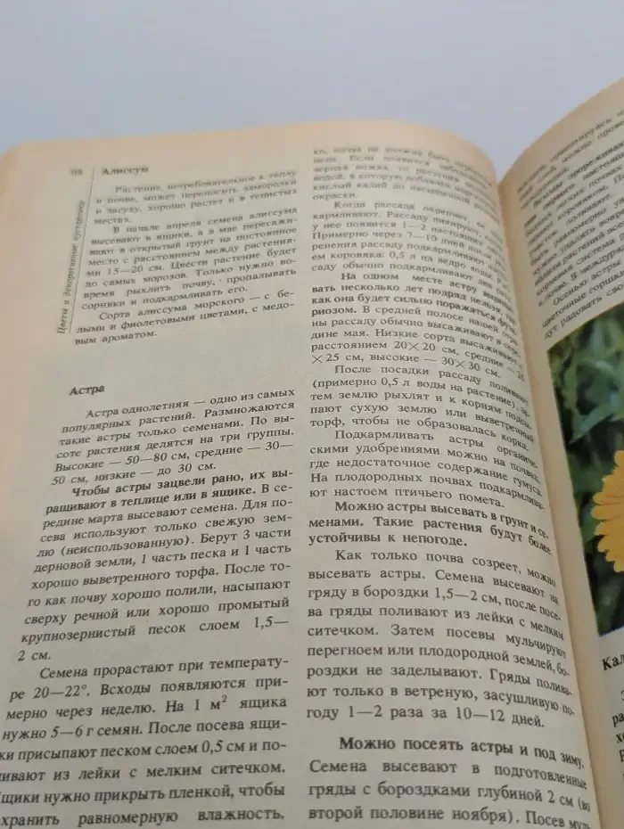 Сад. Огород. Усадьба: Почти энциклопедия для начинающих
