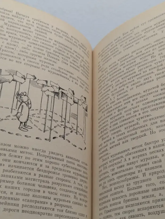 Проблемы этологии