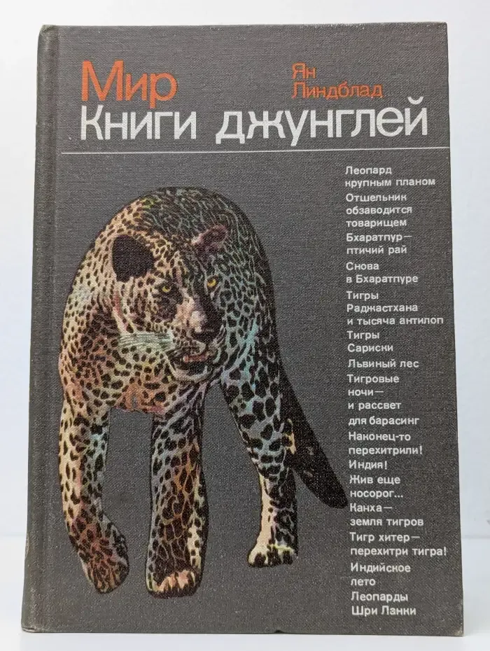 Мир книги джунглей